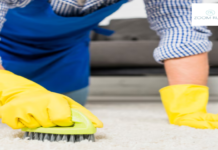 Understanding Different Rug Materials and Their Care Requirements