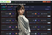 Elevate Your Sporting Experience With Truc Tiep Bong Da Hom Nay and Precise Ket Qua Bong Da